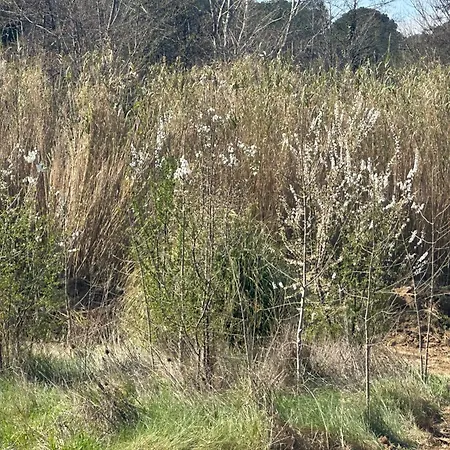 Ma Petite Chaumiere * Bouilhonnac