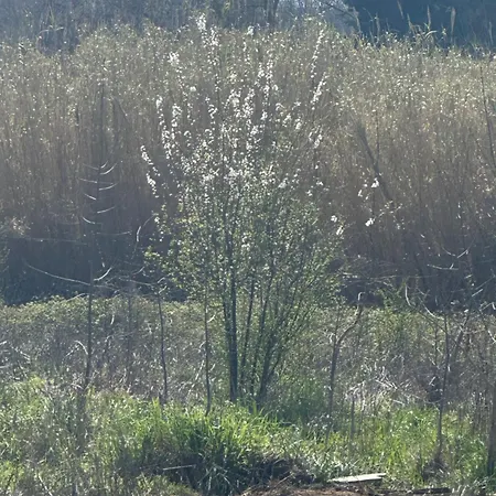 Ma Petite Chaumiere Nyaraló