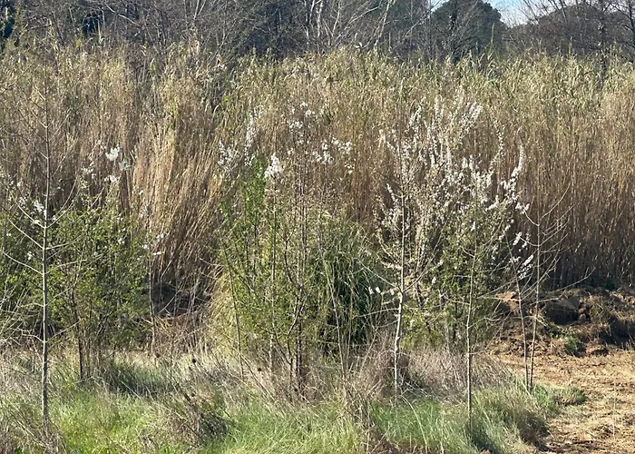 Ma Petite Chaumière * Bouilhonnac